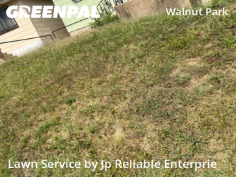 Lawn Mow nearby St. Louis, IL, 