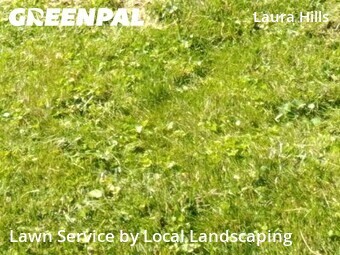 Lawn Mow nearby Powell, OH, 