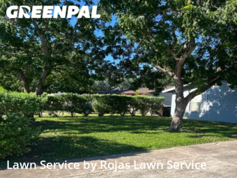 Lawn Cut nearby Edinburg, TX, 