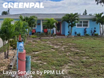 Grass Cut nearby Largo, FL, 