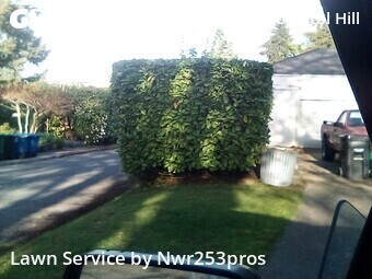 Lawn Cut nearby Seattle, WA, 
