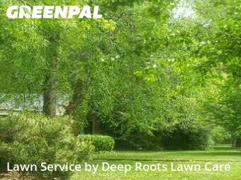 Lawn Mowing nearby Springfield, MO, 