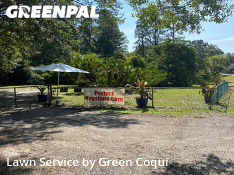 Lawn Mow nearby Odessa, FL, 