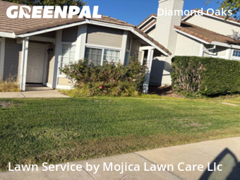 Work completed by yard-maintenance-professionals-in-Roseville-CA