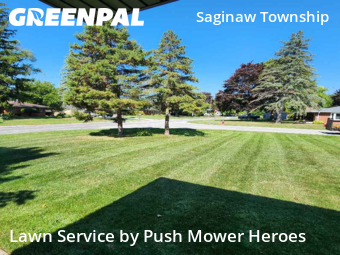 Grass Cutting nearby Saginaw, MI, 
