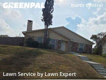 Yard Care in Carrollton, 75007, Landscaping Maintenance by Lawn Expert, work completed in Dec , 2025