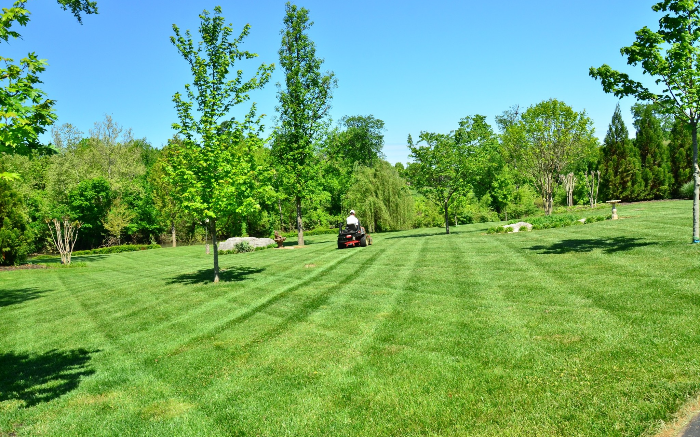 Work Image 1