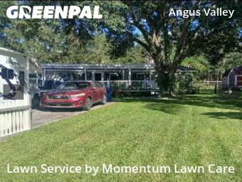 Lawn Care Service nearby Wesley Chapel, FL, 