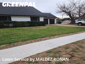 Backyard Landscaping In Irving,75062,Landscapers by MALDEZ RONAN, work completed in Jan , 2026