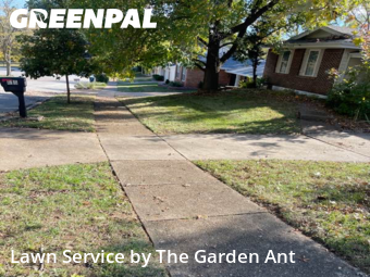Lawn Care Servicein Ballwin,63021,Grass Cutting by The Garden Ant , work completed in Nov , 2025