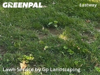 Lawn Maintenance nearby Charlotte, NC, 