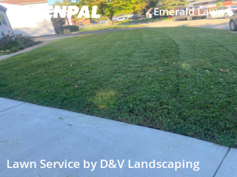 Lawn Cuttingin Joliet,60435,Lawn Mowing by D&V Landscaping , work completed in Nov , 2025