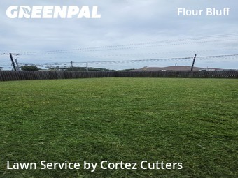 Grass Cutting nearby Corpus Christi, TX, 