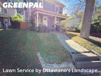 Yard Cutting nearby Marion, OH, 