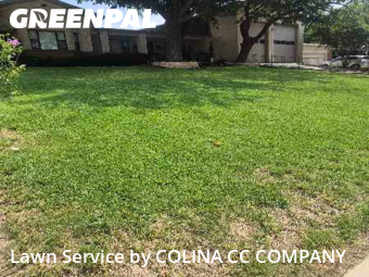 Lawn Mowing Service in Fort Worth, 76135, Lawn Cutting by Colina Cc Company, work completed in 15 Nov, 2025 