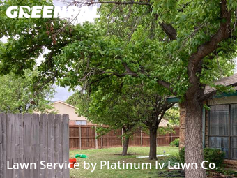Lawn Service nearby The Colony, TX, 