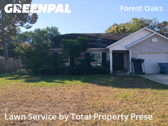 Lawn Mow nearby Spring Hill, FL, 