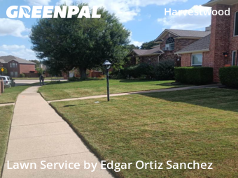 Lawn Cutin Plano,75023,Lawn Cutting by Edgar Ortiz Sanchez, work completed in Nov , 2025