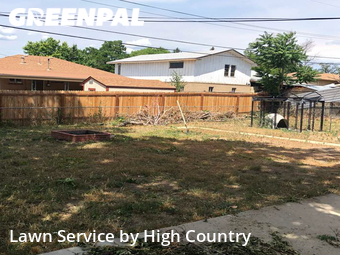 Grass Cut nearby Denver, CO, 