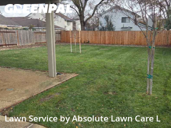 Local Lawn And Landscape Maintenance Services Near Me In Elk Grove,95758,Landscaping Maintenance by Absolute Lawn Care L, work completed in Jan , 2026