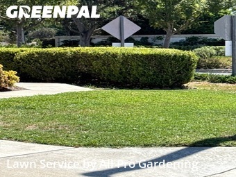 Work completed by grass-trimming-service-in-Orange-CA