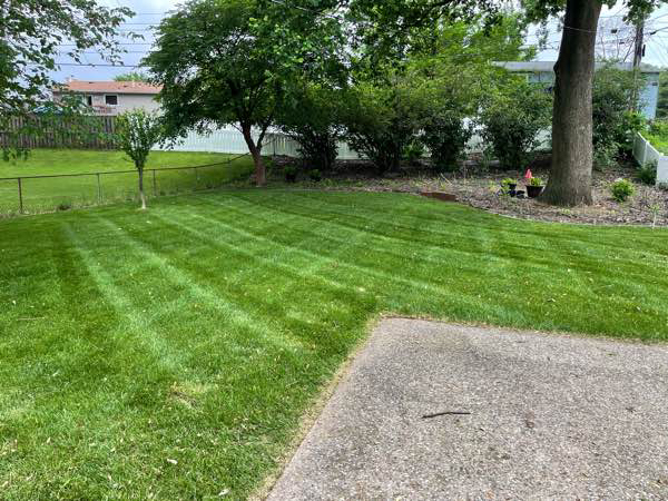 Order Lawn Care in O'fallon, MO, 63366