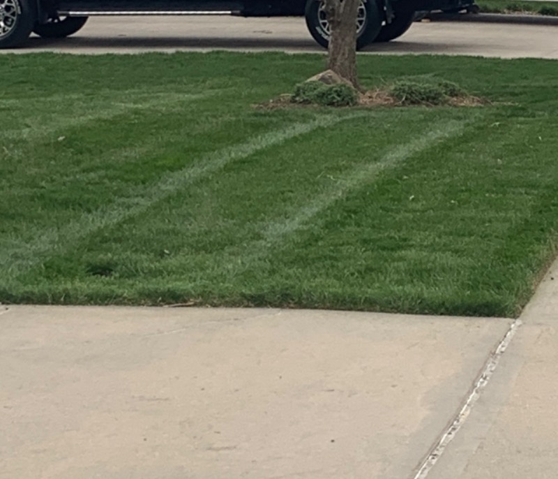 Authentic Lawn Care Lawn Care Services in Omaha, NE
