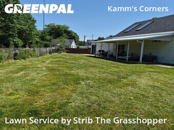 Landscaping Companies In Cleveland,44111,Landscaping Maintenance by Strib The Grasshopper, work completed in Jul , 2026