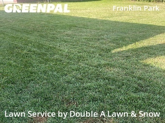 Yard Cutting nearby Detroit, MI, 