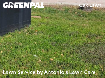 Grass Cutin Dallas,75219,Lawn Service by Antonio's Lawn Care, work completed in Feb , 2026