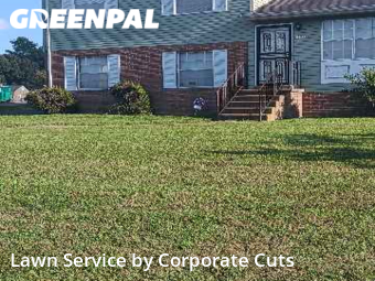 Grass Cutting nearby Richmond, VA, 