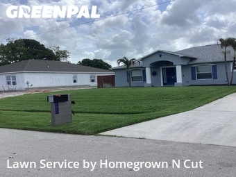 Grass Cut nearby Port St. Lucie, FL, 