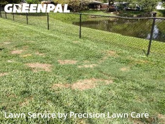 Grass Cut nearby St. Petersburg, FL, 