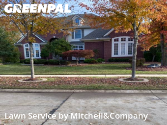 Yard Upkeep in Novi, 48377, Grass Cutting by Mitchell&Company, work completed in Nov , 2025