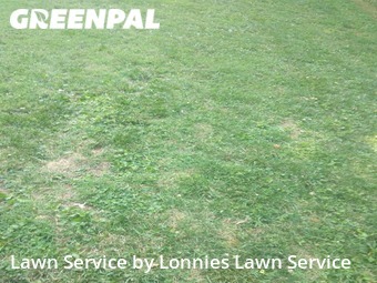 Lawn Mowing nearby Nashville, TN, 