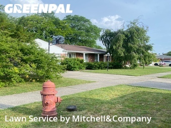 Lawn Service nearby Dearborn Heights, MI, 