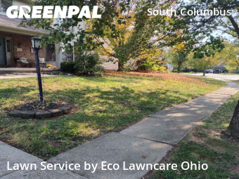 Grass Services in Pickerington, 43147, Yard Care by Eco Lawncare Ohio, work completed in Nov , 2025