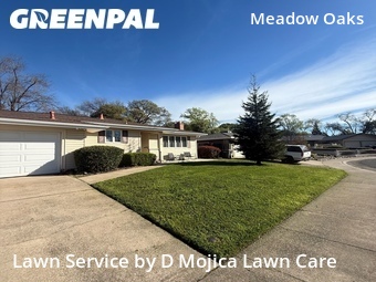 Work completed by local-lawn-cutting-services-in-Roseville-CA
