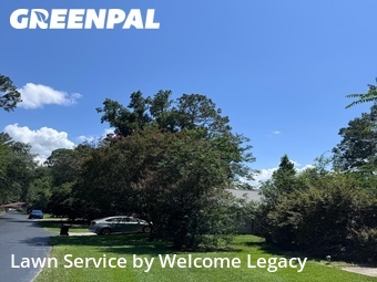 Lawn Mowing Service nearby Gainesville, FL, 