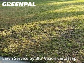 Lawn Cutting nearby Tampa, FL, 