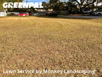 Yard Cutting nearby St. Petersburg, FL, 