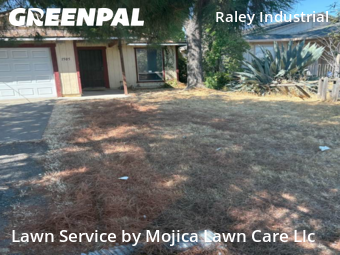 Work completed by grass-cutting-businesses-in-Sacramento-CA