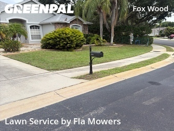Lawn Care nearby Trinity, FL, 