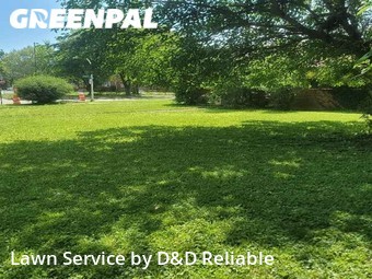 Grass Cut nearby Chicago, IL, 