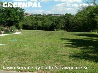 Grass Cutting nearby Austin, TX, 