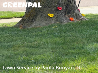 Grass Cutting nearby Papillion, NE, 