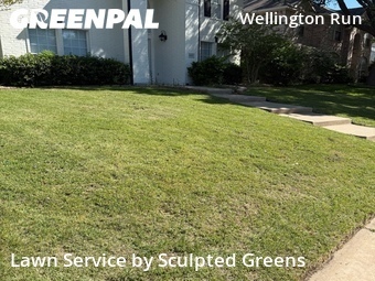 Grass Cut nearby Plano, TX, 