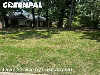 Grass Cut nearby Stallings, NC, 