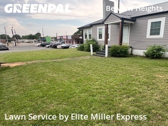 Lawn mowed in Birmingham, 35208