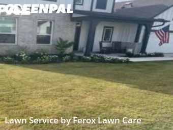 Yard Upkeep in Buda, 78610, Yard Maintenance by Ferox Lawn Care, work completed in Nov , 2025